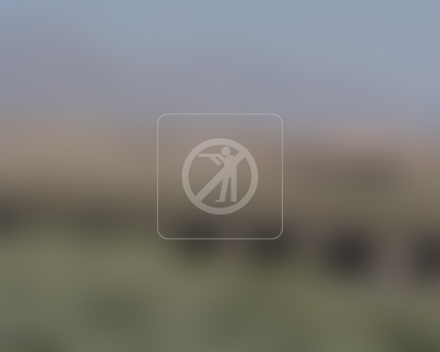 دالان