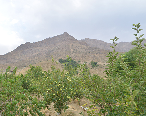 دره باغ