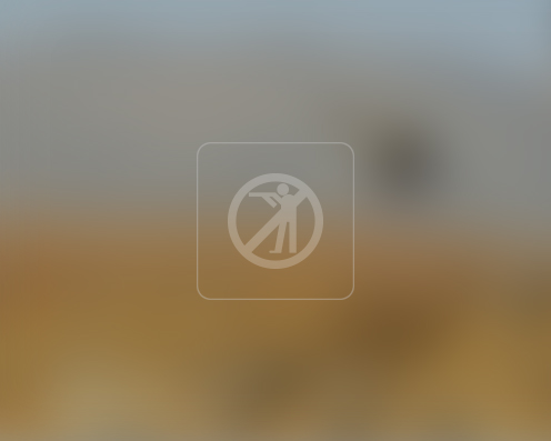توت سياه