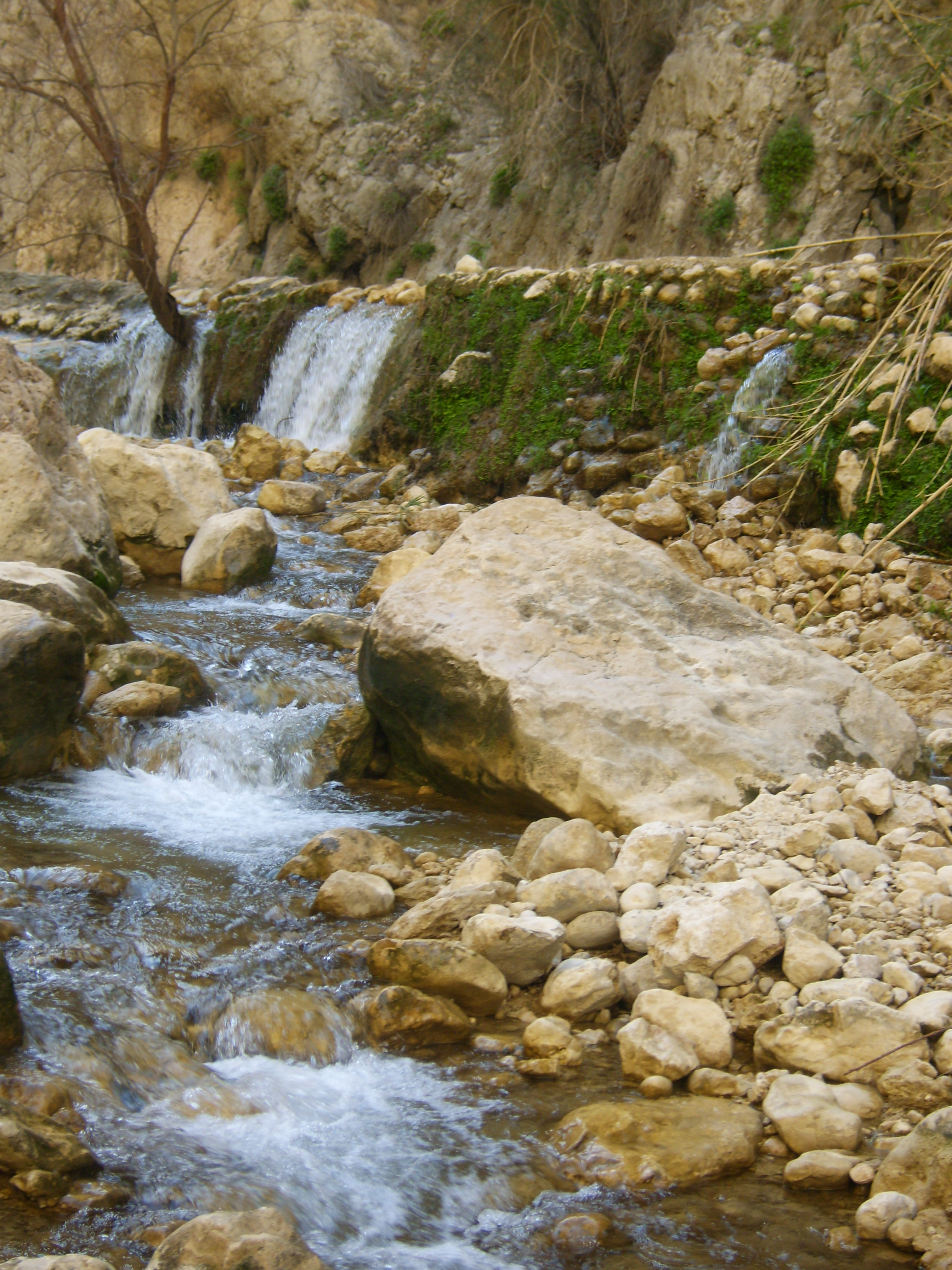 چشمه خرچنگ چشمه خرچنگ