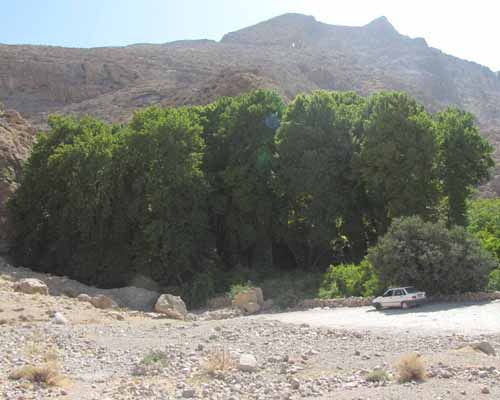 باغ بدره سیدان