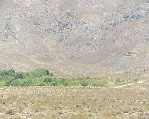 تفرجگاه بيدستان