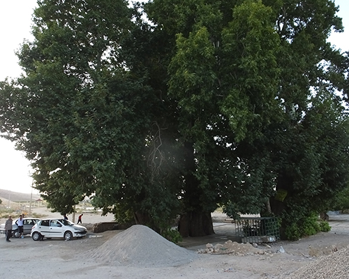 روستای گردشگری ده زیارت  امامزاده شاه خاقان