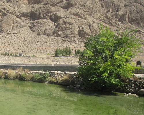 حوض ماهی سیدان