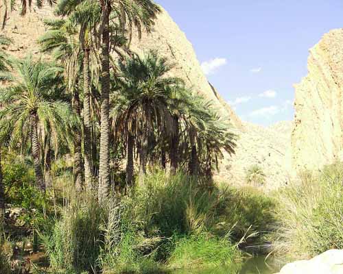 رودخانه كاسه رود