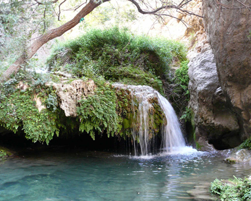 تنگ رغز