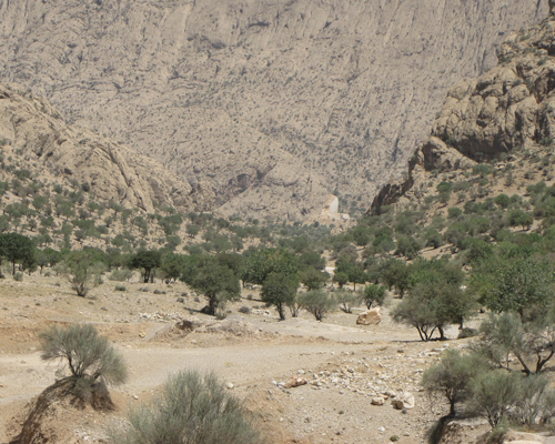 تنگ خشک