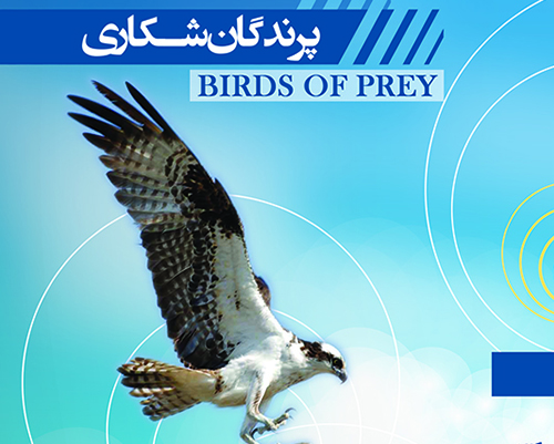 پرندگان شکاری