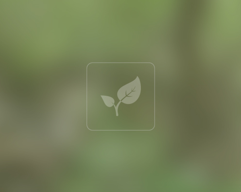 لگجی